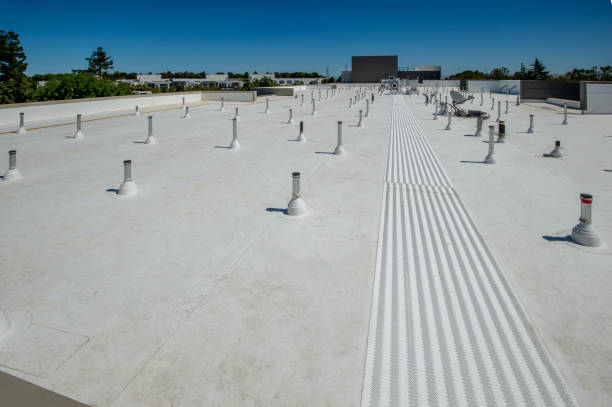 Best Roof Maintenance and Cleaning  in Mississippi State, MS